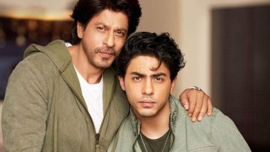 Shah Rukh Khan's Plea: Alleged Texts to Aryan's Case Officer Gain Attention